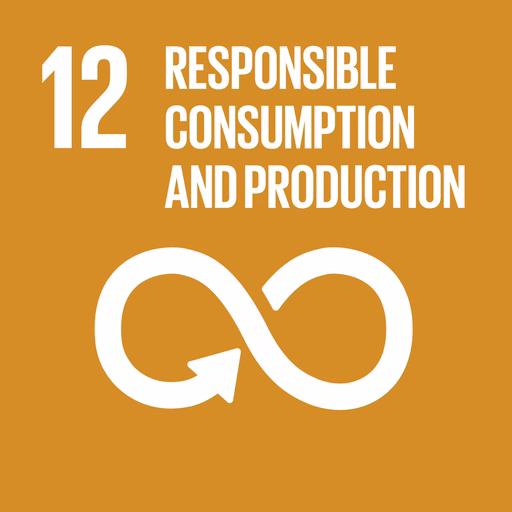 UN Sustainable Development Goal 12 - Responsible Consumption and Production
